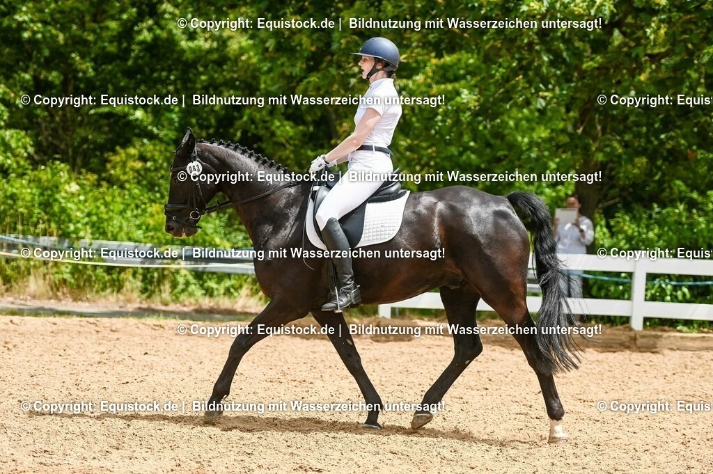 20230715_05_Dressurprüfung Kl.A++_0247 | equistock