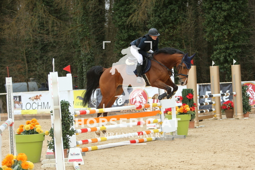 DL2Q6498 | Willkommen bei Brunnmayr - Design & Fotografie – Ihrem Spezialisten für Reitturniere und Pferdeveranstaltungen in Oberösterreich, Salzburg und Bayern! Seit über 17 Jahren sind wir leidenschaftlich dabei.