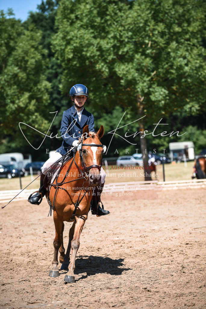 DSC_2938 | Pferde- und Turnierfotografie in Westsachsen. Pferdeportraits, Auftragszeichnungen und intuitive Kunst.