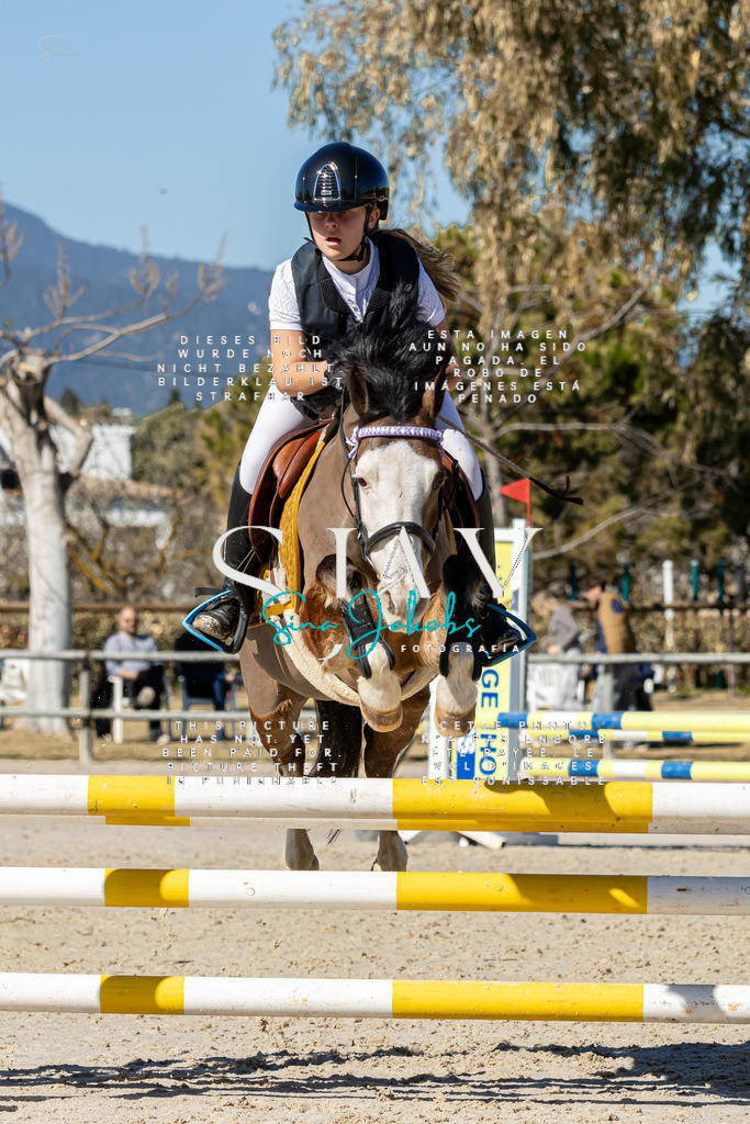 IMG_9154 | s-jay-photography - Realisiert mit Pictrs.com