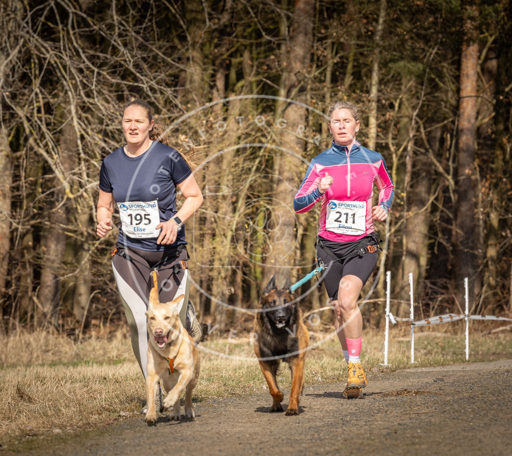 DV3A5781 | Hundefotografie, Tierfotograf, Pfotenfotografie, Fotoshooting Hund, Hunde Portrait, Hundesport, Hundeportraits, Heideshooting, Hunde, Sportfotograf, Hundefotograf, Turnierhundsport, THS,  - Realisiert mit Pictrs.com