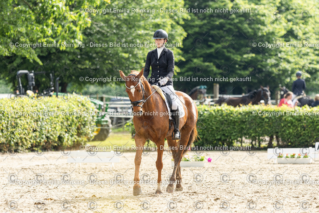 CL5A4510 | Emilia Reinking Fotografie - Realisiert mit Pictrs.com