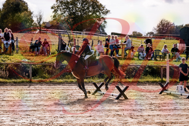 2026_10_03_Siefer-Hof_143808_Z81_07822859 | Professionelle Reitsport-, Turnier- und Eventfotografie von Robert Broda. Galerien mit ausgewählten und bearbeiteten Bildern direkt online ansehen und bestellen.