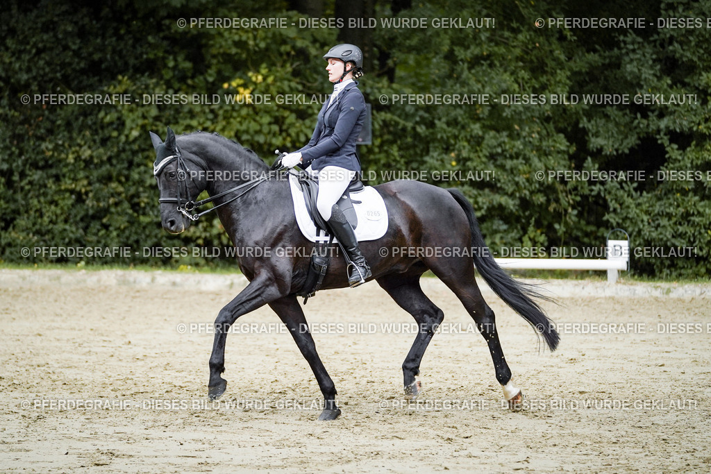 DSC00037 | Pferdegrafie