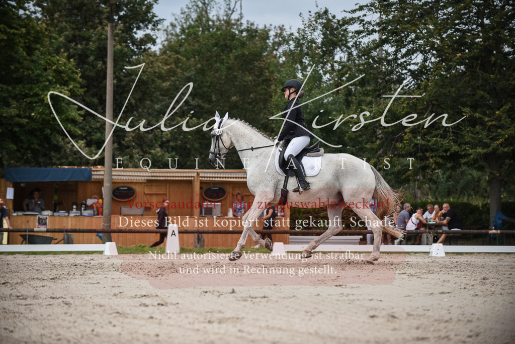 DSC_8486 | Pferde- und Turnierfotografie in Westsachsen. Pferdeportraits, Auftragszeichnungen und intuitive Kunst.