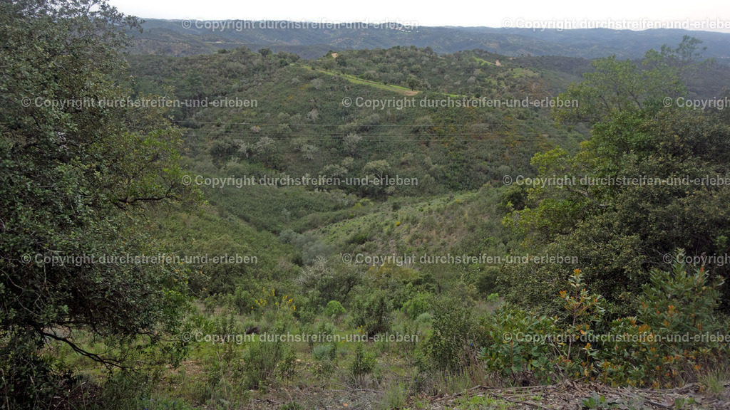 Blick in die einsame Serra do Caldeirão nahe Cortelha | Blick in die einsame Serra do Caldeirão nahe Cortelha, Algarve - Realisiert mit Pictrs.com