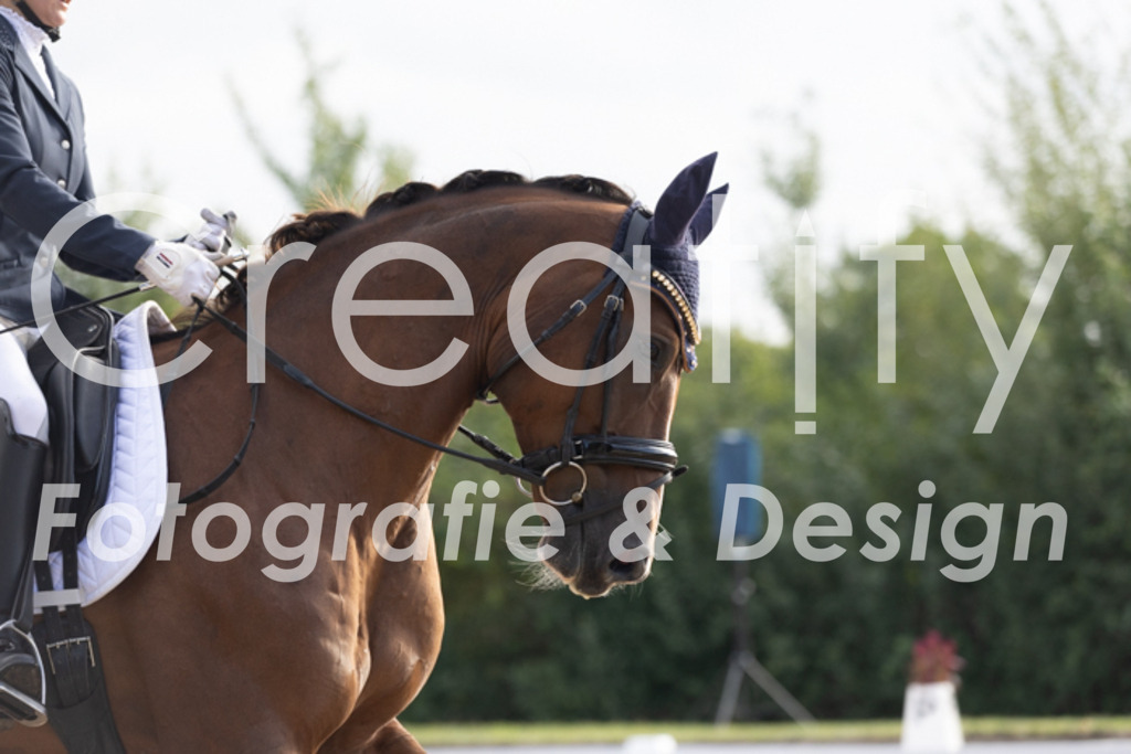 IMG_0056 | Creatify Fotografie