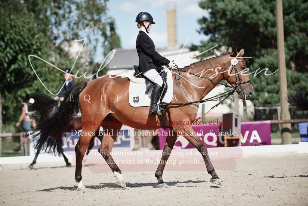 DSC_9930 | Pferde- und Turnierfotografie in Westsachsen. Pferdeportraits, Auftragszeichnungen und intuitive Kunst.