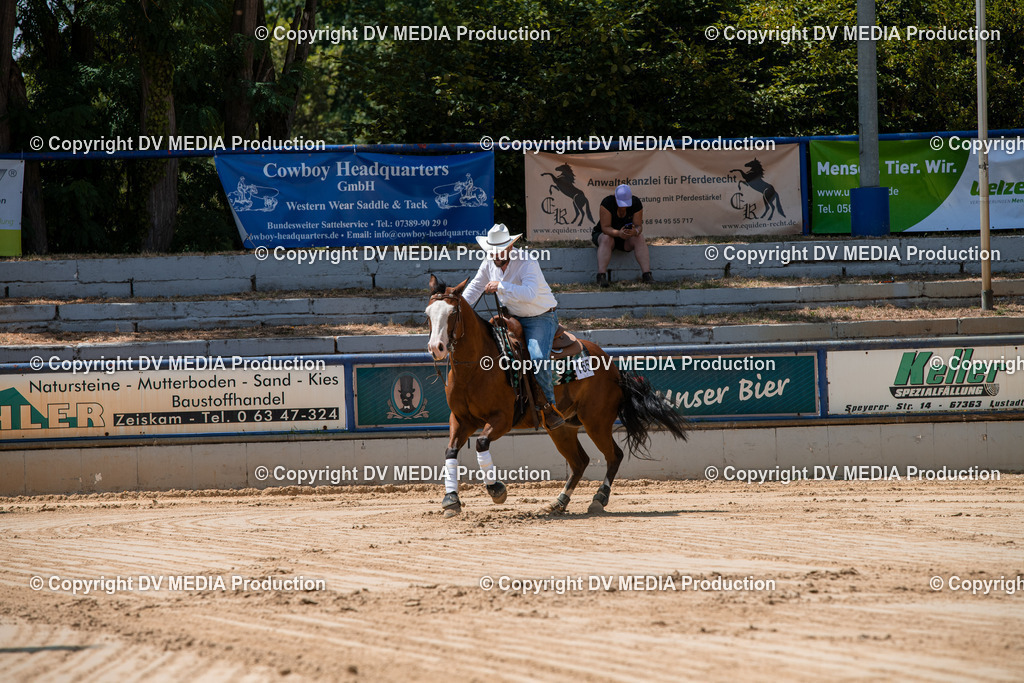 ZS3_9870 | dv-media-shop - Realisiert mit Pictrs.com