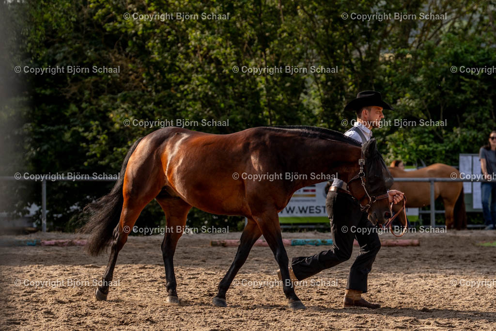 KBS00964 | BS-foto