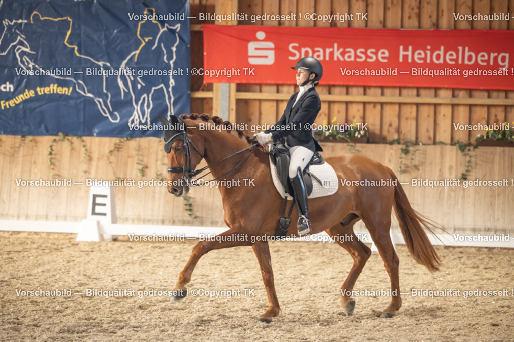 _D5A3181 | Emotionale Pferde- & People-Fotografie rund um Heidelberg, Leimen & Umgebung. Natürliche Fotos von Pferd, Mensch & Familie. Jetzt Termin sichern!