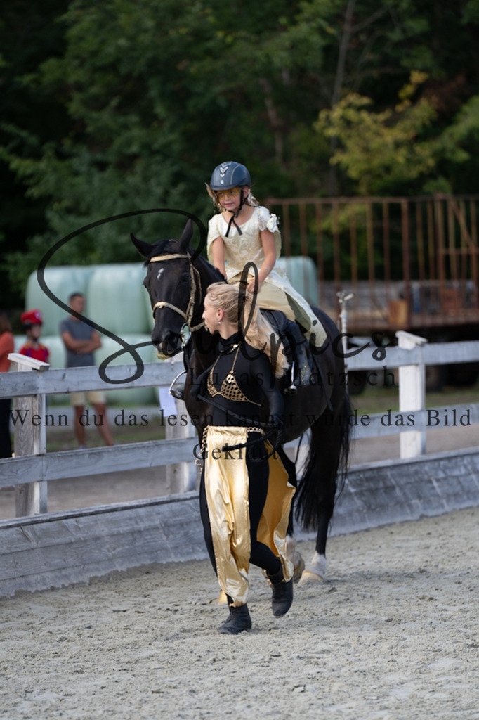 A7V07522 | Pferdefotograf