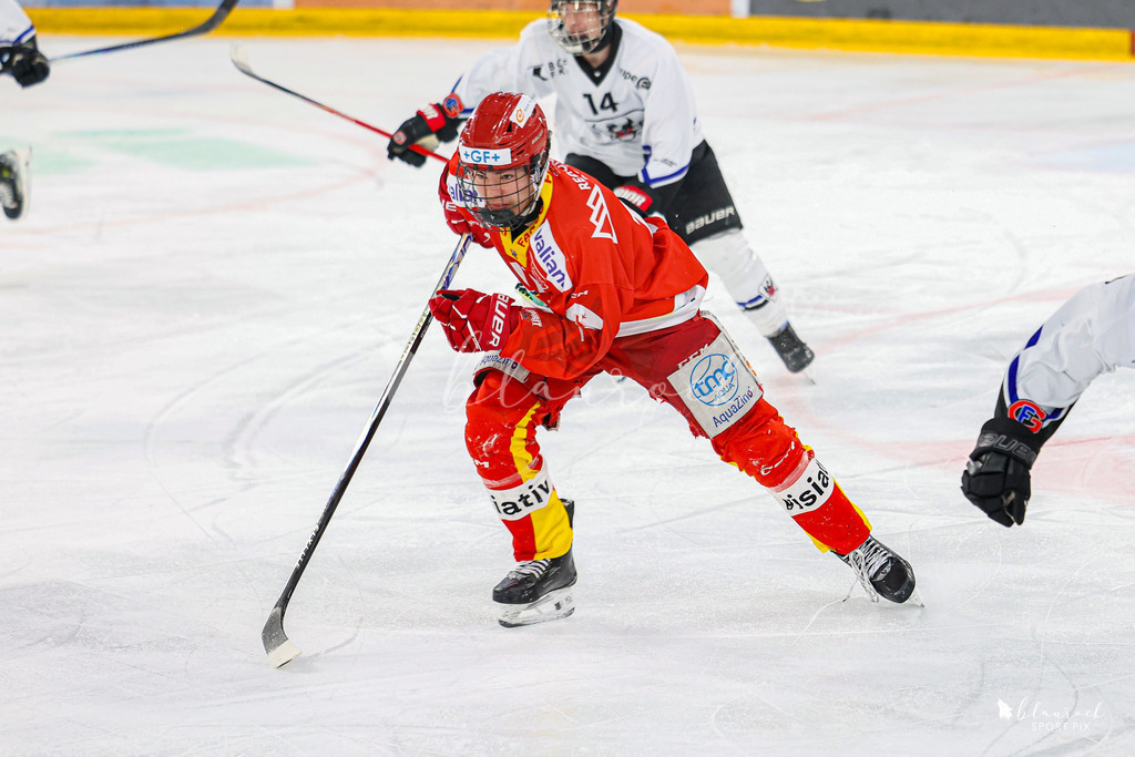 EHCB Spirit vs HCFG_wb-7379 | Sportbilder, Sportfotograf, Hochzeits- und Eventfotografin, Flugshows, Portraits und Tiershooting, Aviation, Downhill, Nationalleague, Swissleague, International