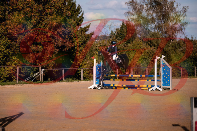 2026_10_03_Siefer-Hof_171546_Z81_13298468 | Professionelle Reitsport-, Turnier- und Eventfotografie von Robert Broda. Galerien mit ausgewählten und bearbeiteten Bildern direkt online ansehen und bestellen.