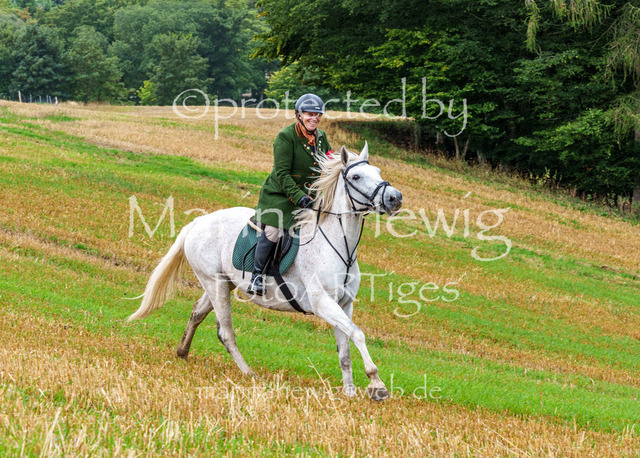 Jagd Kletkamp 26-02919_MarinaHewig | Fotografie, FotoArt, PferdesportArt, Pferdesportfotografie, Landschaftsfotografie, Reisefotografie, Reise, Pferde - Realisiert mit Pictrs.com