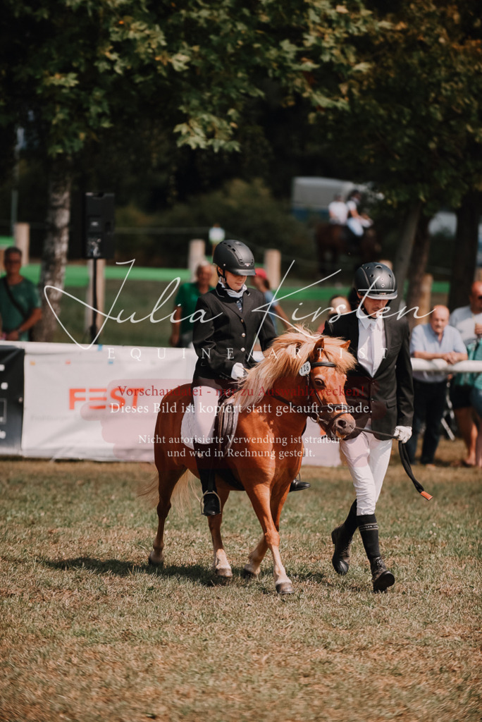 DSC_6063 | Pferde- und Turnierfotografie in Westsachsen. Pferdeportraits, Auftragszeichnungen und intuitive Kunst.