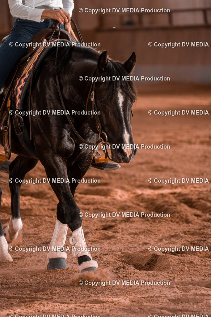 NE201236 | dv-media-shop - Realisiert mit Pictrs.com