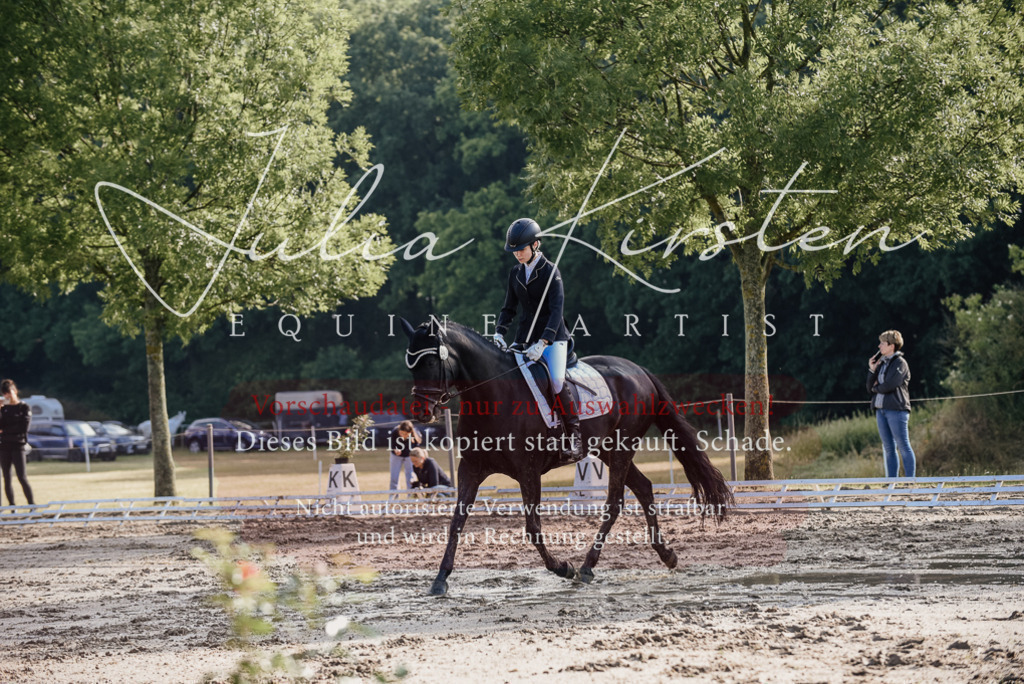 DSC_7889 | Pferde- und Turnierfotografie in Westsachsen. Pferdeportraits, Auftragszeichnungen und intuitive Kunst.