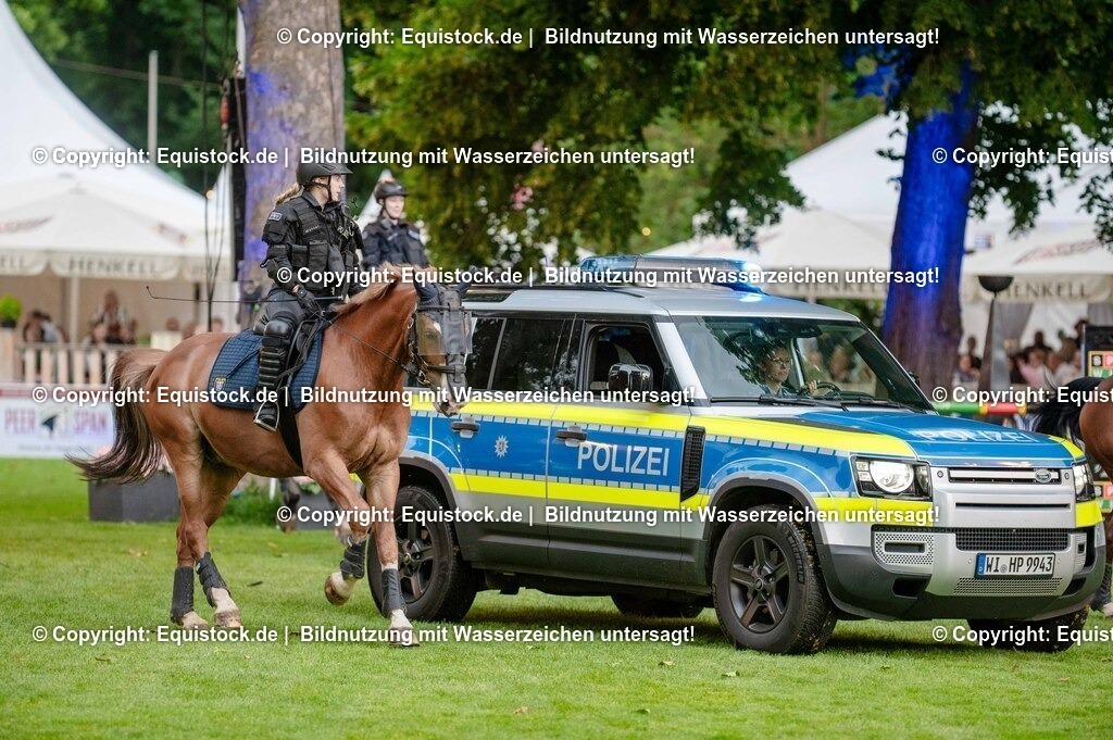 20250606_Lange-Pferdenacht_0729 | Foto: Thomas Hartig