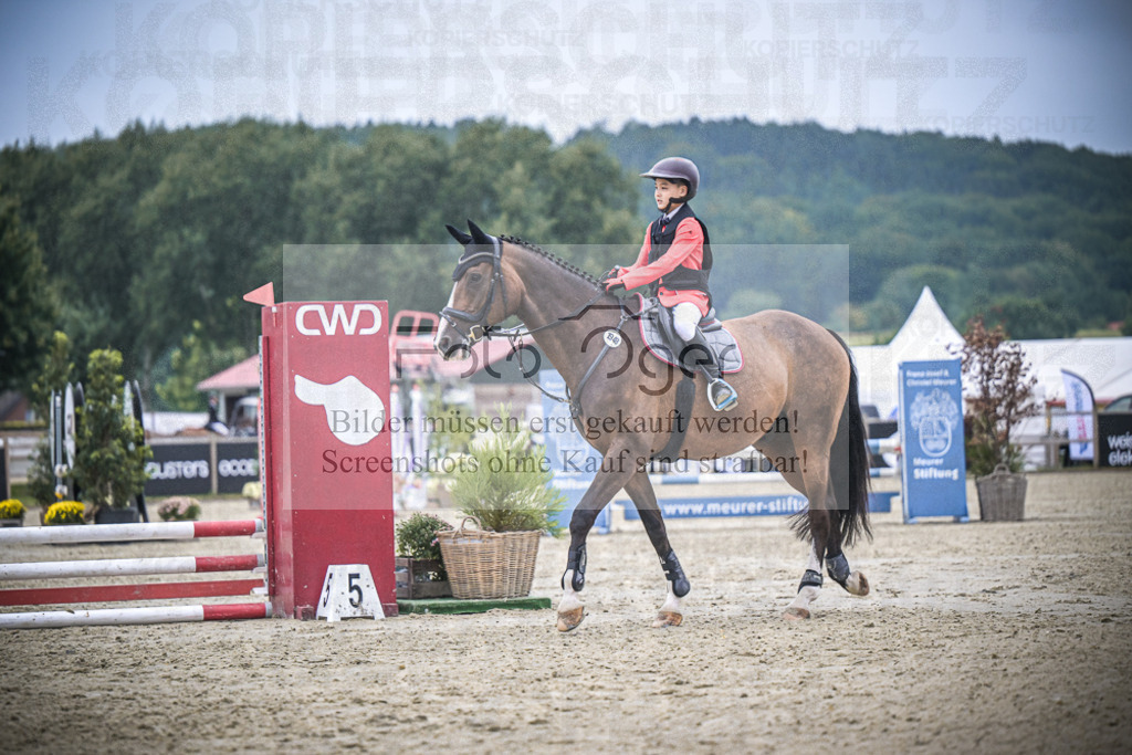 DOS_1013 | Entdecke hochwertige Reitturnierfotos von Foto Oger. Professionell, emotional und authentisch – jetzt Lieblingsmomente im Shop bestellen.Deutschlandweite Turnierfotografie. - Realisiert mit Pictrs.com