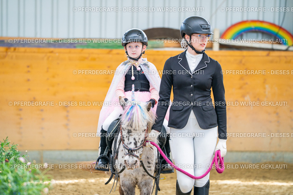 DSC00417 | Pferdegrafie