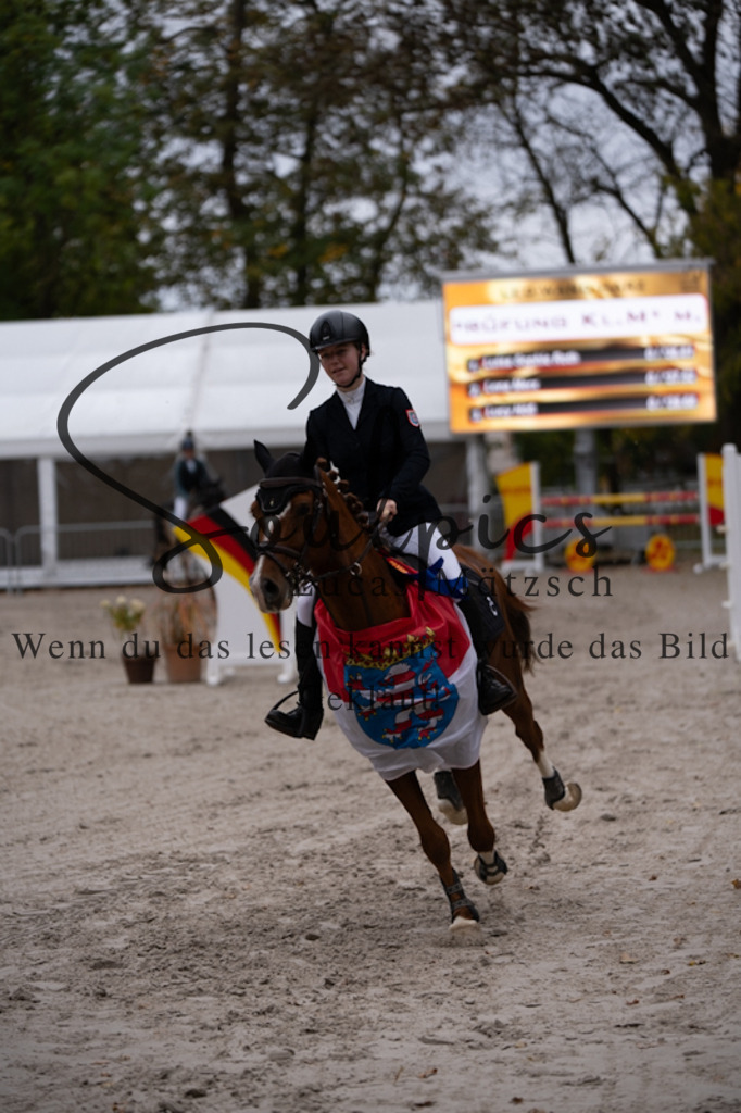 A7V01145 | Pferdefotograf