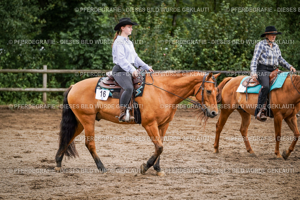 DSC08712 | Pferdegrafie