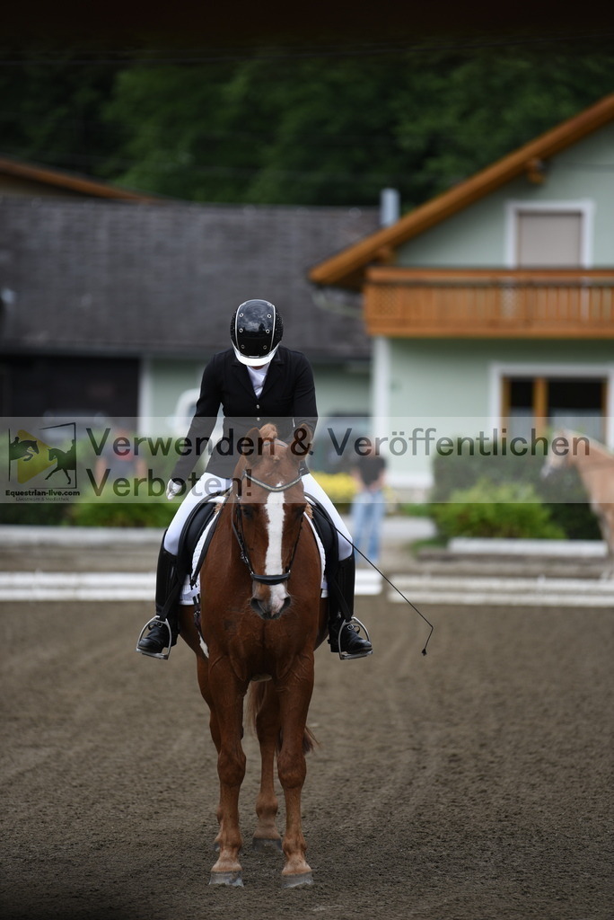 DSC_3652 | equestrian-live-com