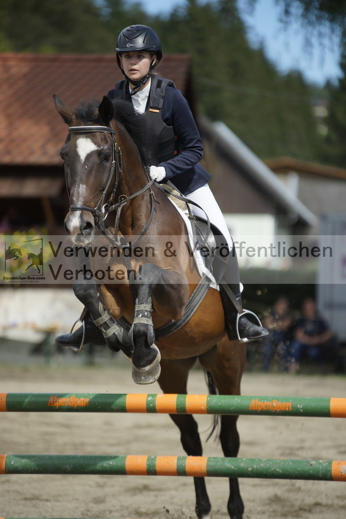 _DSC4314 | equestrian-live-com