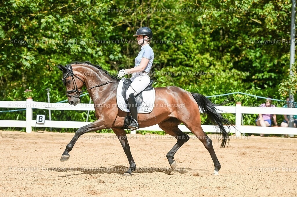 20230715_02_Dressurreiterprüfung Kl.L_0390 | equistock