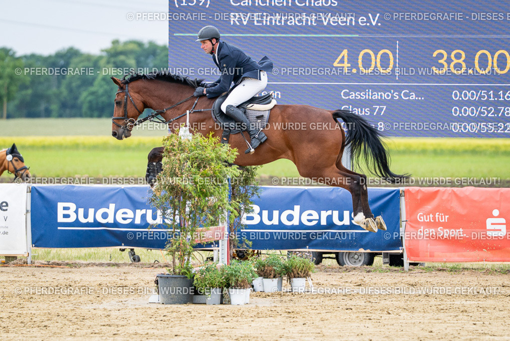 DSC05195 | Pferdegrafie