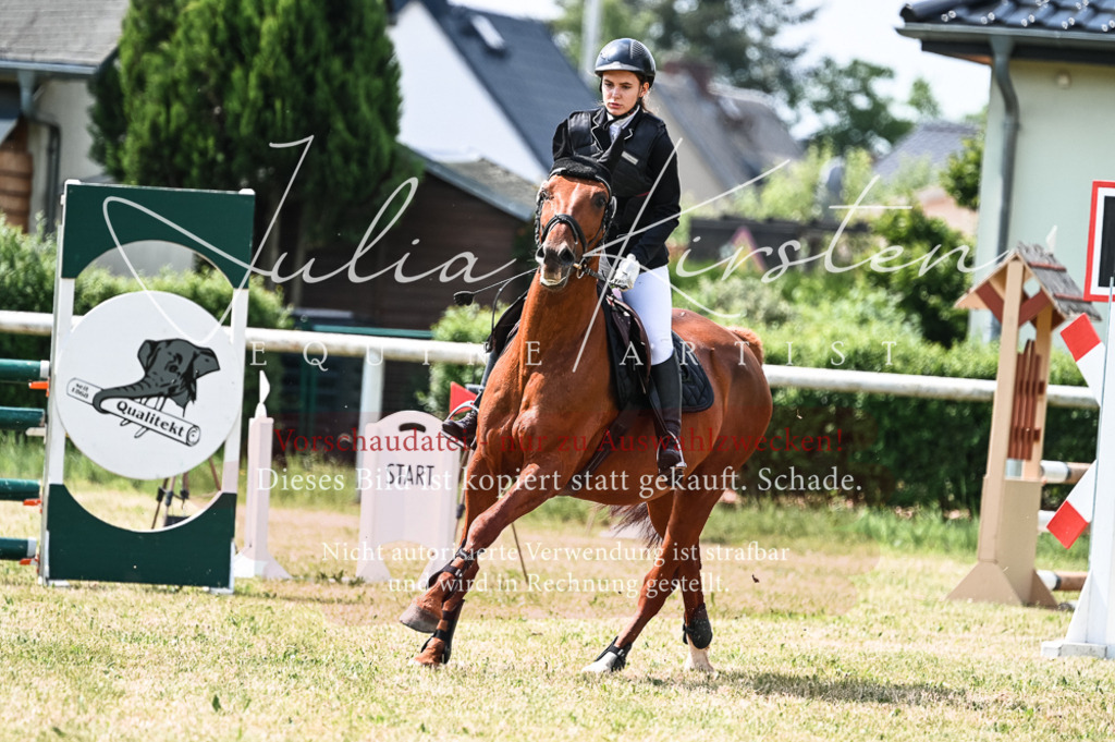 DSC_8831 | Pferde- und Turnierfotografie in Westsachsen. Pferdeportraits, Auftragszeichnungen und intuitive Kunst.