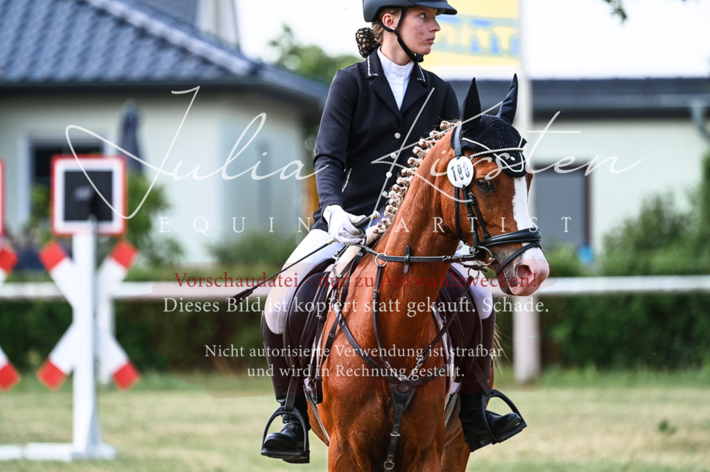 DSC_8711 | Pferde- und Turnierfotografie in Westsachsen. Pferdeportraits, Auftragszeichnungen und intuitive Kunst.
