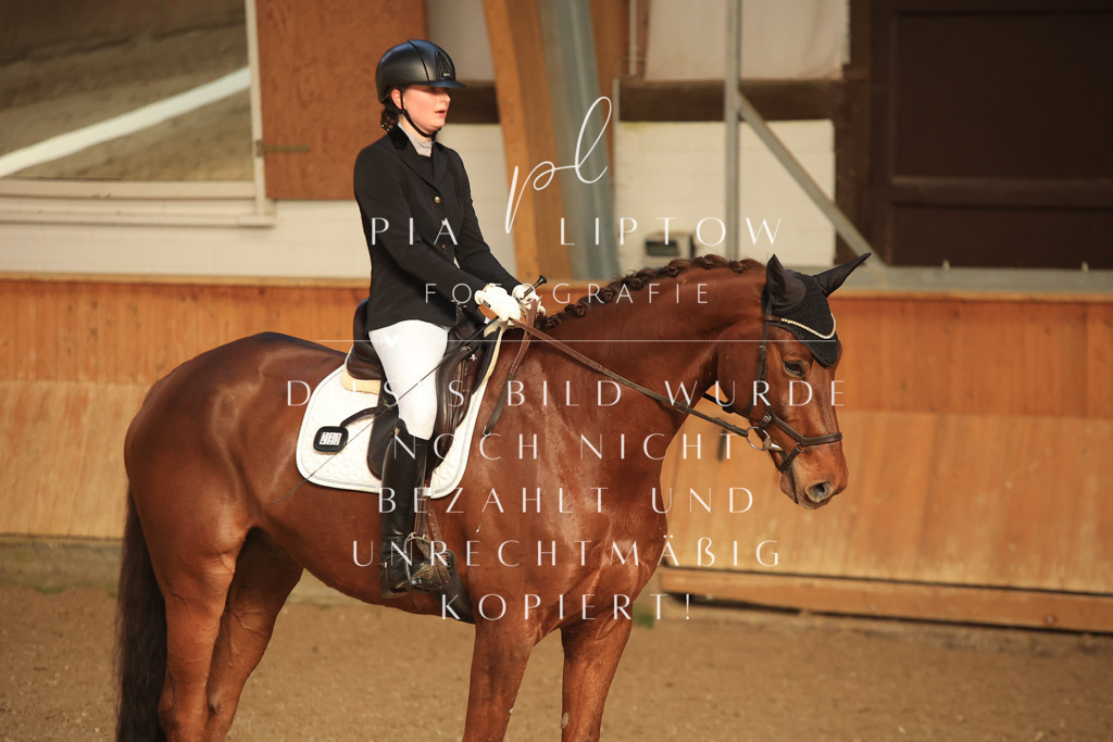 IMGT4176 | pl-fotografie