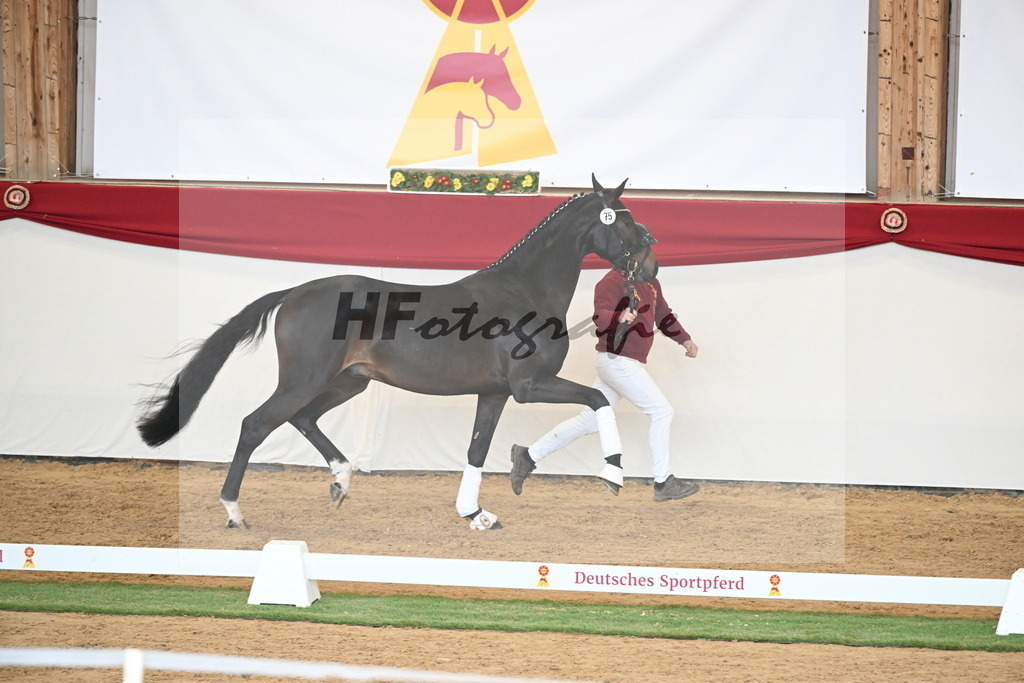 Kat.-Nr. 75 v. Santos_Greim_2250831 | hf-fotografie - Realisiert mit Pictrs.com