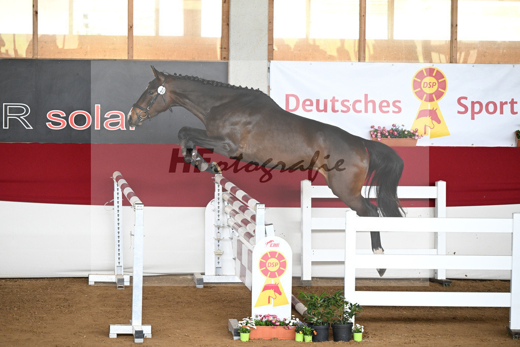 Kat-Nr. 33 Calimera v. Chubakko_Egetenmeier_9240784 | hf-fotografie - Realizzato con Pictrs.com