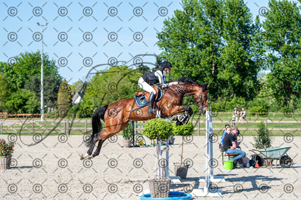 KPT_1782 | andre_photographic