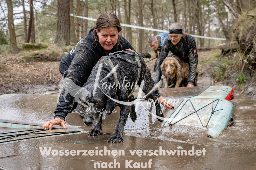 1210DSC_5334 | kk-dogfotos