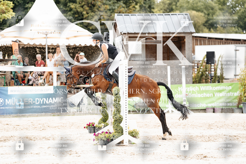 CK908756 | Turnierfotografie Pferdefotografie Trier Rheinland-Pfalz Pferdesport Reitsport Tierfotografie Sportfotografie Pferdevideo Pferdevideografie Equestrianvideography equestrianphotography  - Realisiert mit Pictrs.com