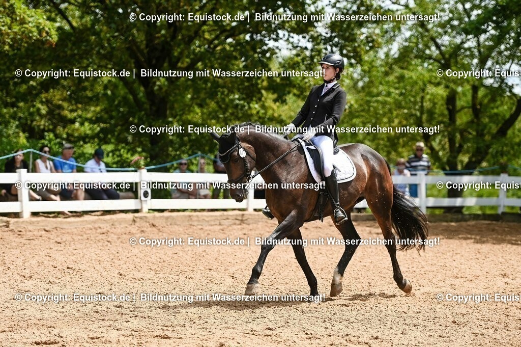 20230716_03_Dressurprfg. Kl.L - Tr._0583 | equistock