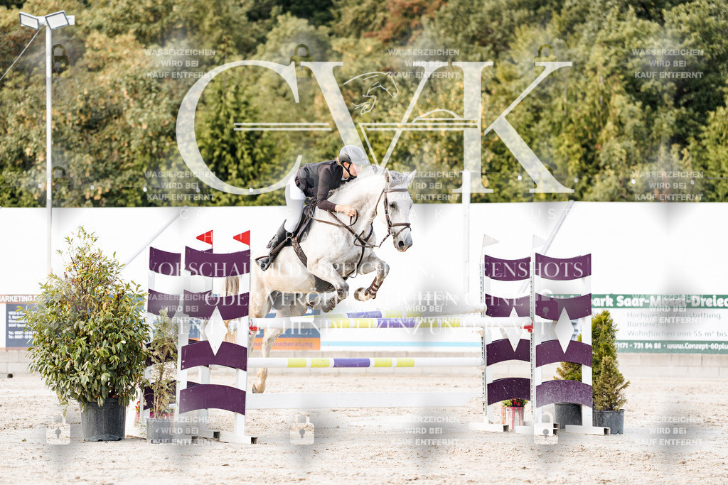 CK903659 | Turnierfotografie Pferdefotografie Trier Rheinland-Pfalz Pferdesport Reitsport Tierfotografie Sportfotografie Pferdevideo Pferdevideografie Equestrianvideography equestrianphotography  - Realisiert mit Pictrs.com