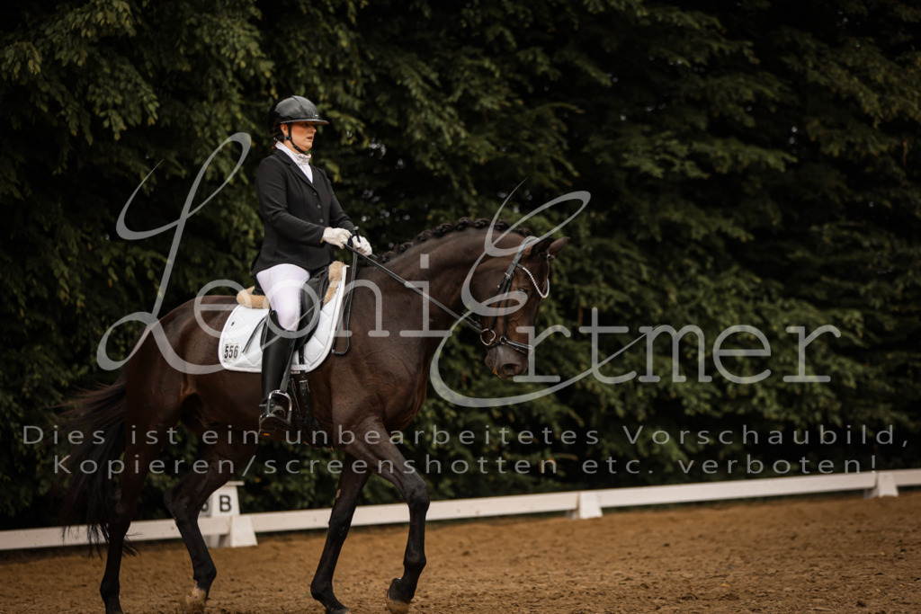 DoDrA200045 | Leoni Ertmer Photography - Realisiert mit Pictrs.com