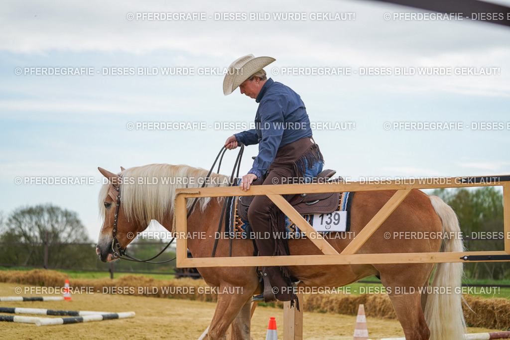 DSC02728 | Pferdegrafie