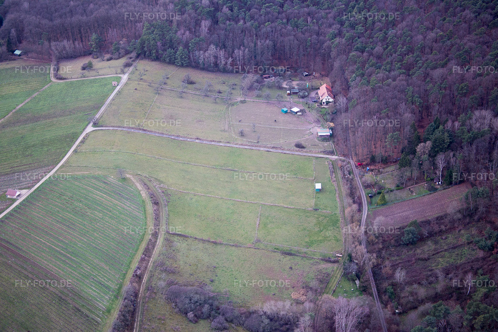 Luftbild: FeWo Saigenranch in Pleisweiler-Oberhofen im Bundesland Rheinland-Pfalz in Deutschland. Foto: IMG_085697.jpg vom 08.01.2016 durch Werner Riehm/FLY-FOTO.de