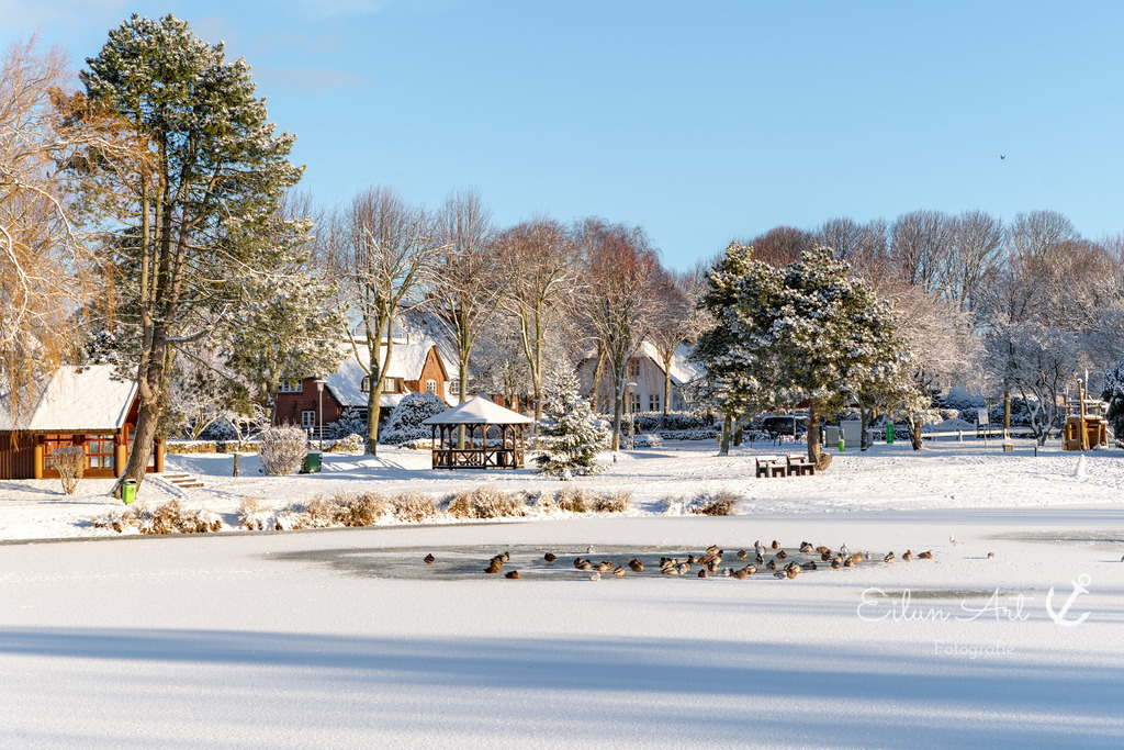 20260104-EAF_8259 | Eilun-Art-Fotografie Levke Martens, ihre Fotografin für Immobilien- und Landschaftsfotografie auf Föhr, Föhrer Motive als Poster, Leinwand, hinter Acrylglas oder stelle dir deinen eigenen Monatskalender zusammen, mit nur einem Klick