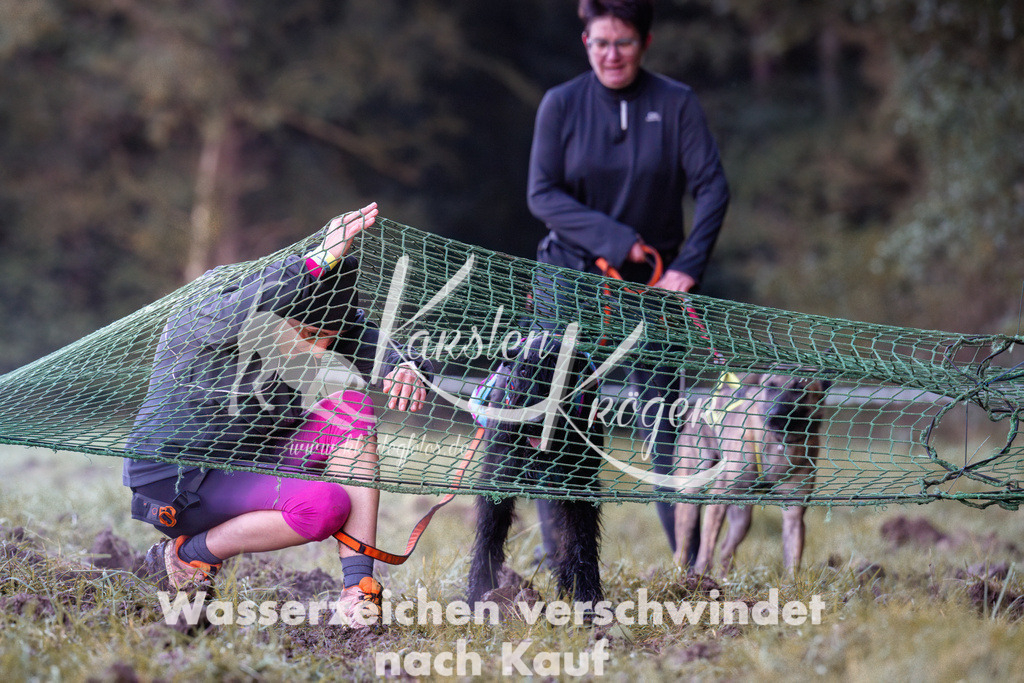 0830_ZZ90468 | kk-dogfotos