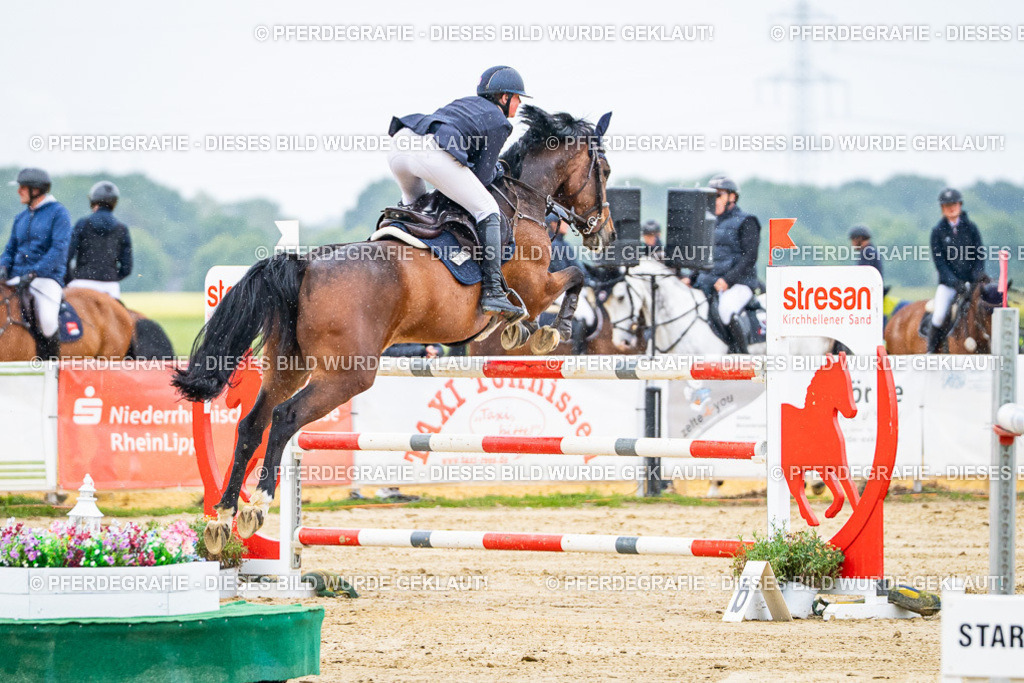 DSC08049 | Pferdegrafie