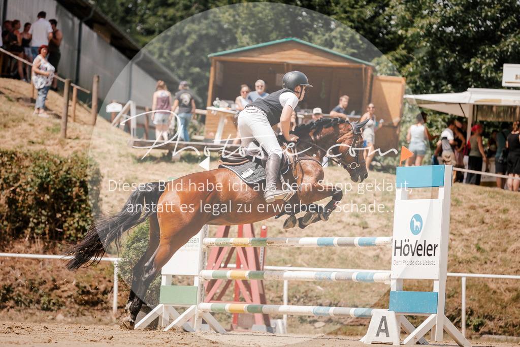 3I6A7979 | Stimmungsvolle Portraits und Reitsportfotografie im Ruhrgebiet und im Münsterland.

Pferdefotografie, Hundefotografie, Tierfotografie, Reportagen, Portraits von Tier und Mensch, Turnierfotografie in Bochum, Recklinghausen, Marl, Haltern am See, Dülmen.. - Realisiert mit Pictrs.com