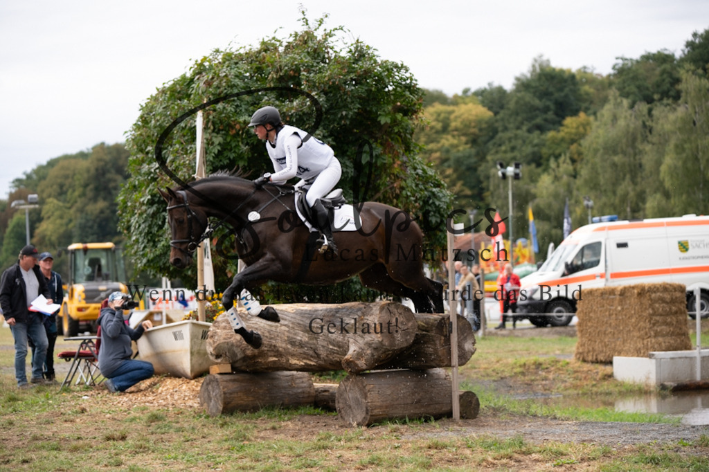 A7V00466 | Pferdefotograf