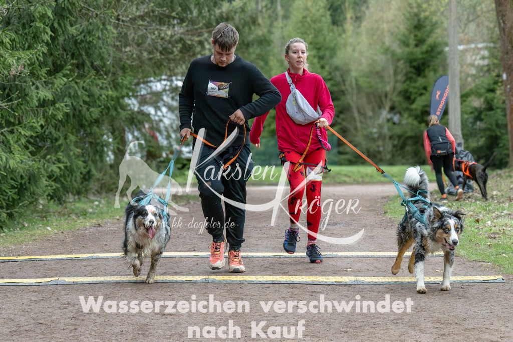 0928_ZZ91432 | kk-dogfotos